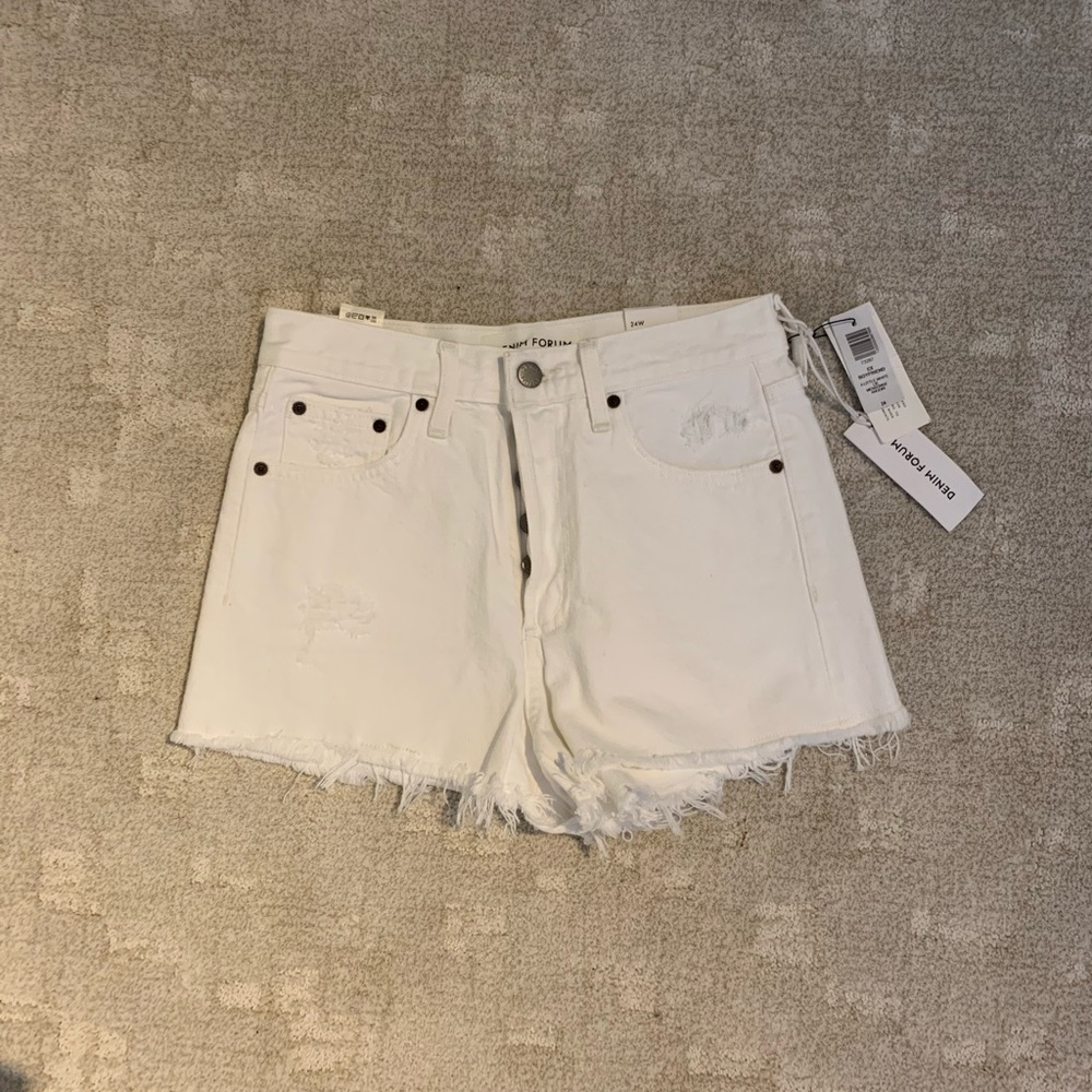 Aritzia Ex-boyfriend Denim Short